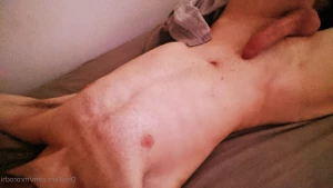 15291646