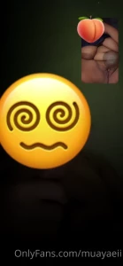 12833861