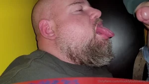 16064675