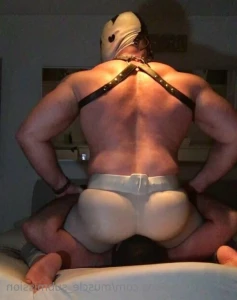 15406035