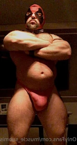 15683508