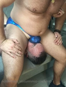 16317543