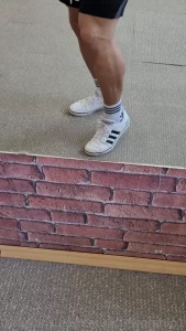 15805156