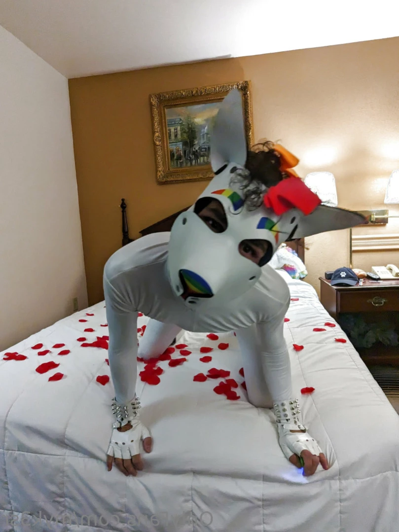 DarkStar [ myk3sr ] Onlyfans leaked photo 11272626 on Hotleaks.tv