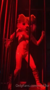 14971619