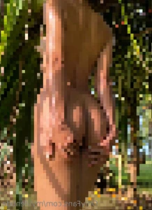11272539