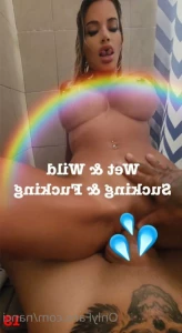 15305195