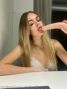 11288313