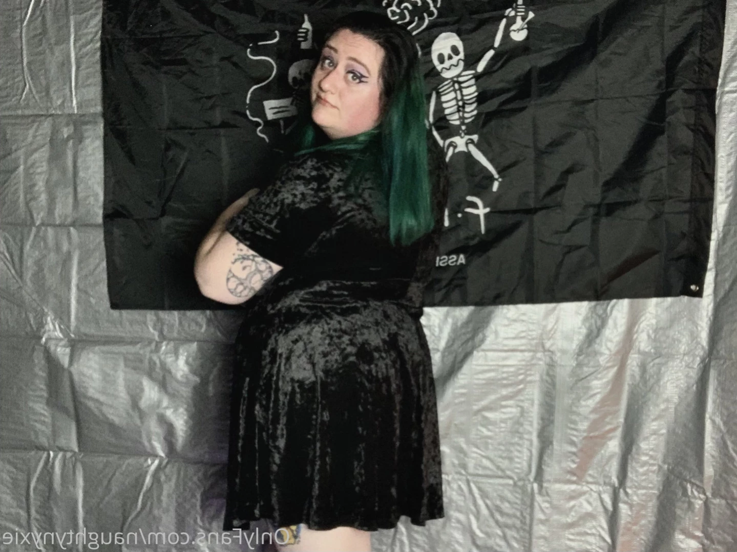 Nyxie ¨̮ NO PPV [ naughtynyxie ] Onlyfans leaked photo 15854588 on Hotleaks.tv