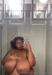 18084731