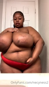 13629952