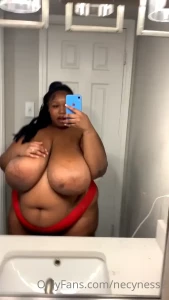 15449557
