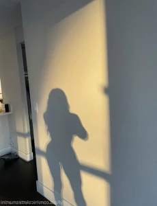 15303939