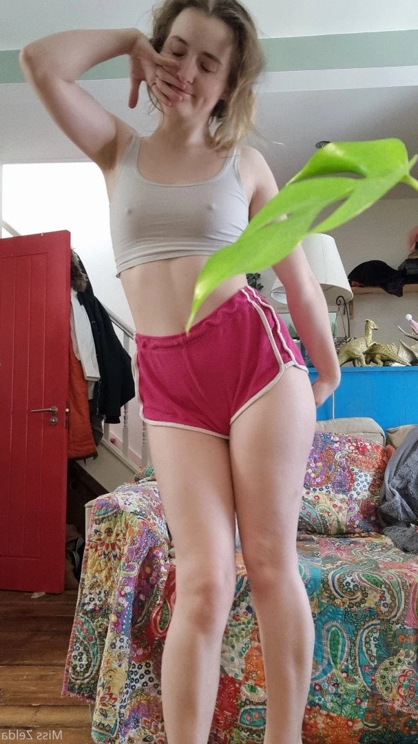 Miss Zelda [ pantieprincess23 ] Onlyfans leaked photo 953320 on Hotleaks.tv
