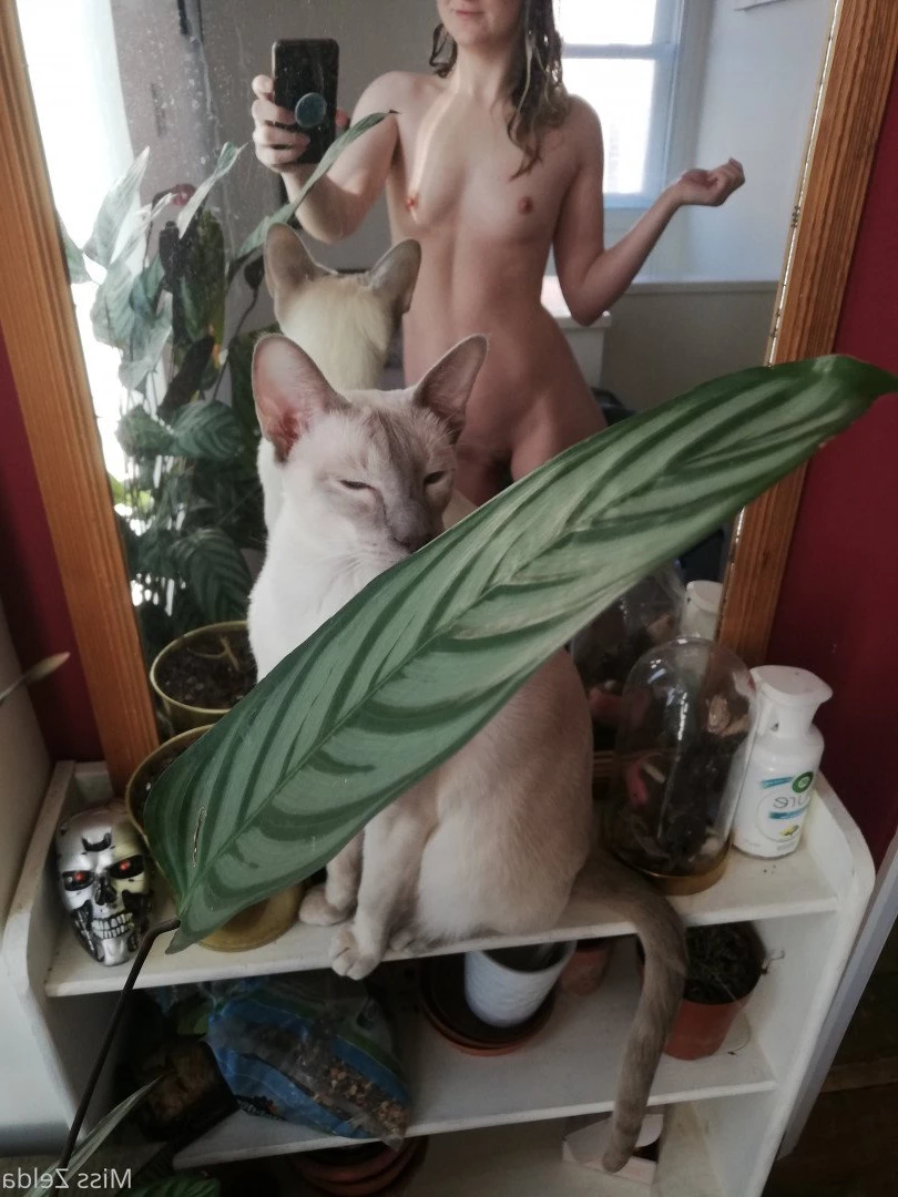 Miss Zelda [ pantieprincess23 ] Onlyfans leaked photo 954167 on Hotleaks.tv