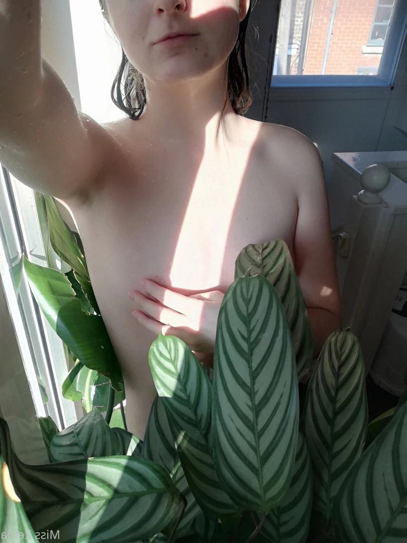 Miss Zelda [ pantieprincess23 ] Onlyfans leaked photo 954483 on Hotleaks.tv
