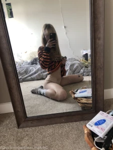 16317273