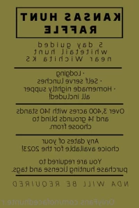 15254119