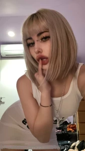 15308469