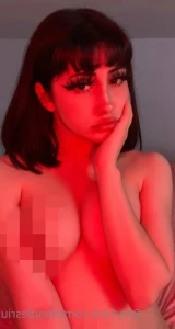 16317009