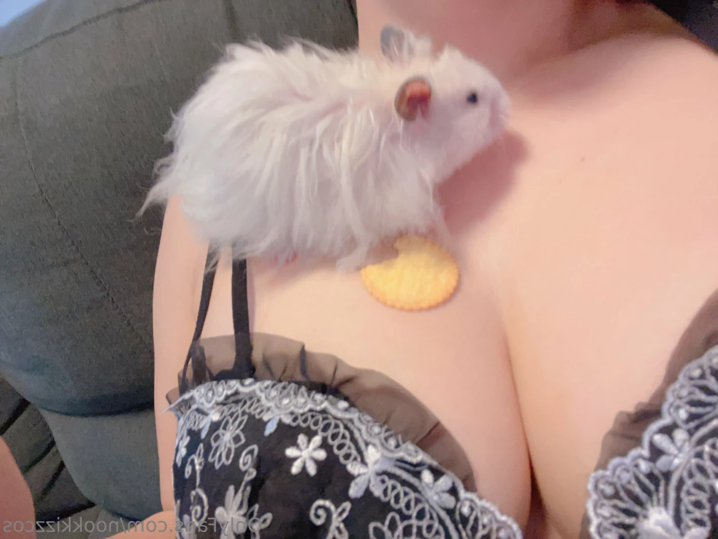 nookkizzcos Onlyfans leaked photo 12308053 on Hotleaks.tv