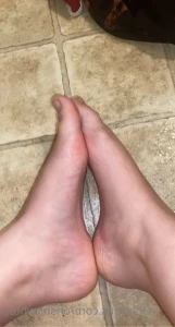 15306267