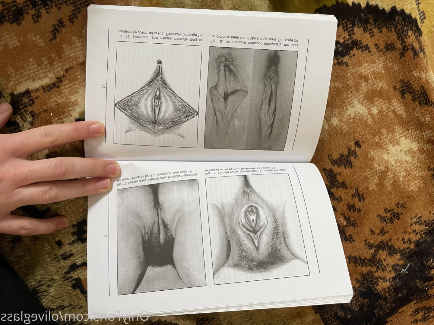 Olive Glass [ oliveglass ] Onlyfans leaked photo 11374366 on Hotleaks.tv