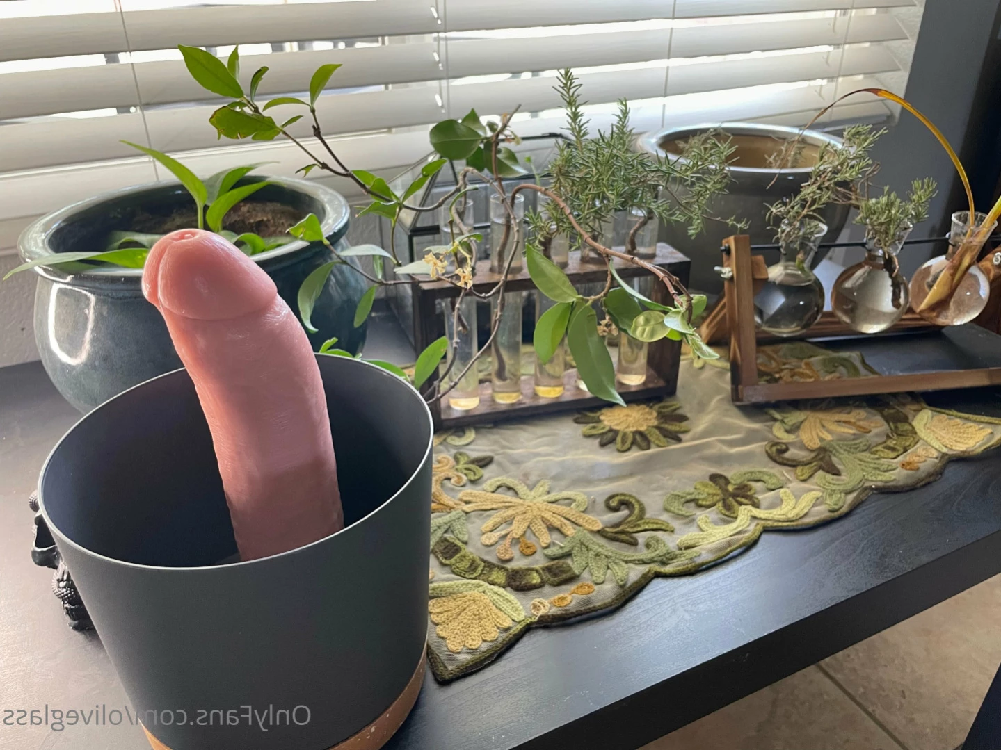 Olive Glass [ oliveglass ] Onlyfans leaked photo 14252139 on Hotleaks.tv