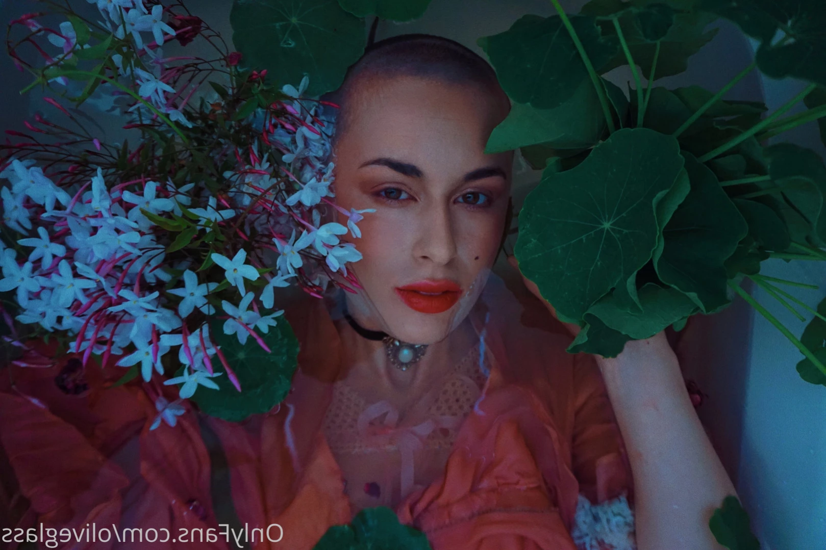 Olive Glass [ oliveglass ] Onlyfans leaked photo 14473298 on Hotleaks.tv