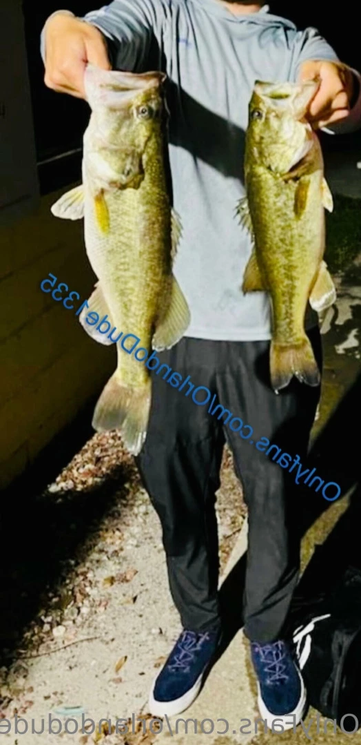 OrlandoDude [ orlandodude1335 ] Onlyfans leaked photo 16255348 on Hotleaks.tv
