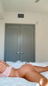 13661657