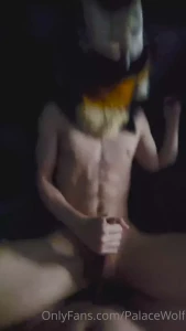 11888118