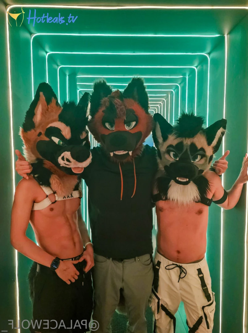 palacewolf Onlyfans leaked photo 13546780 on Hotleaks.tv