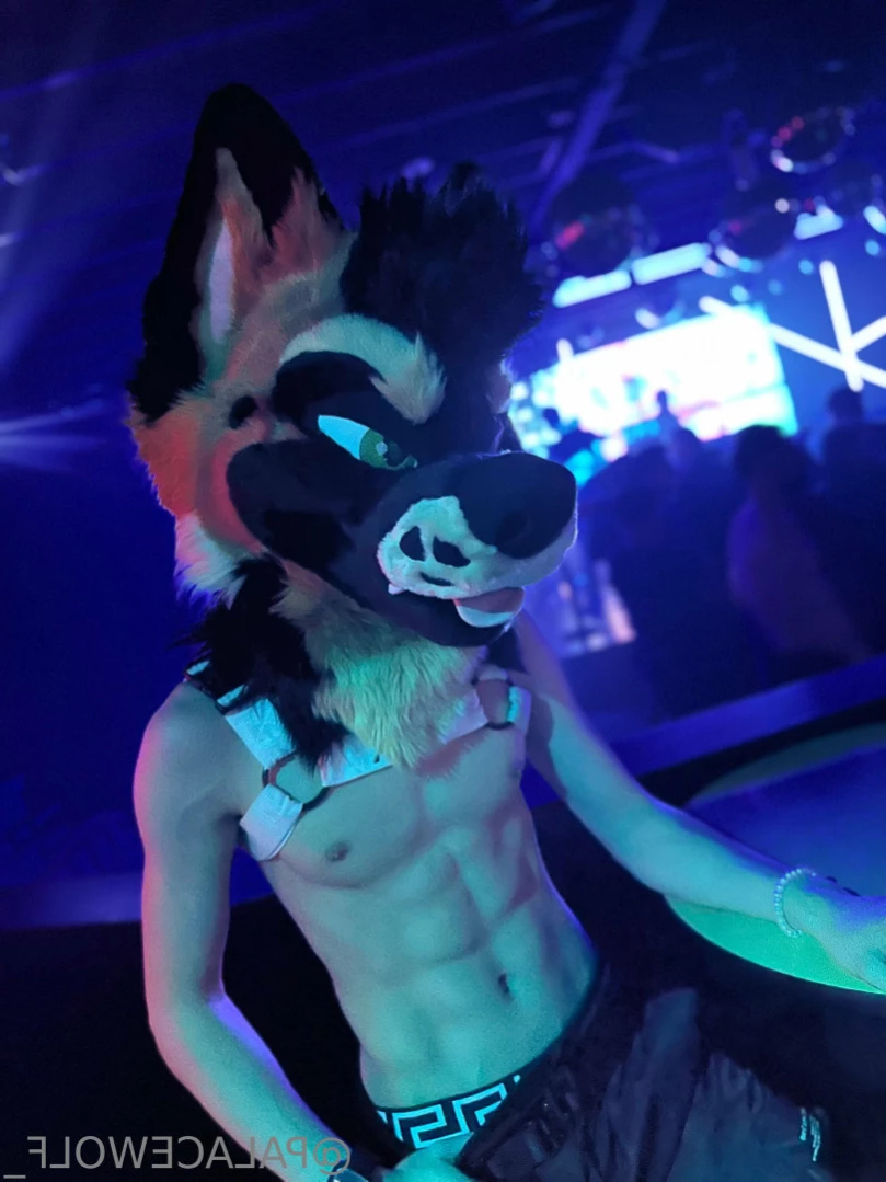 palacewolf Onlyfans leaked photo 15211325 on Hotleaks.tv