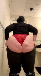 13273597