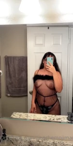 15691381