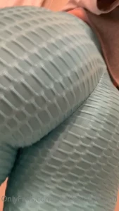 15691454