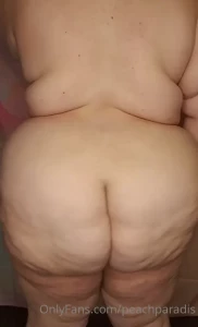 14818769