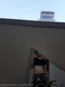 13954817