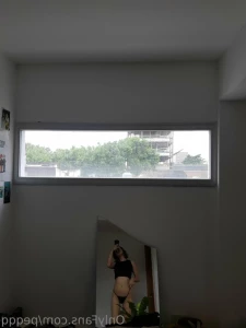 14033659