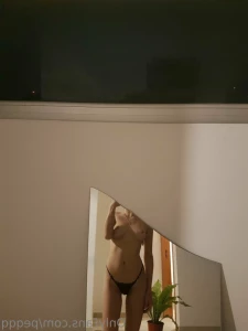 15068685