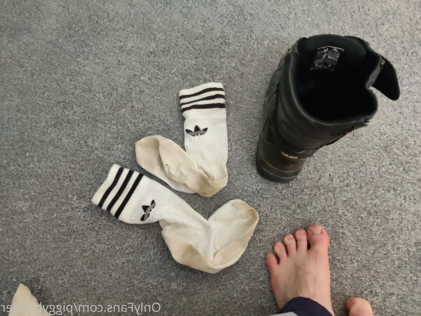 piggybuilder Onlyfans leaked photo 13296187 on Hotleaks.tv