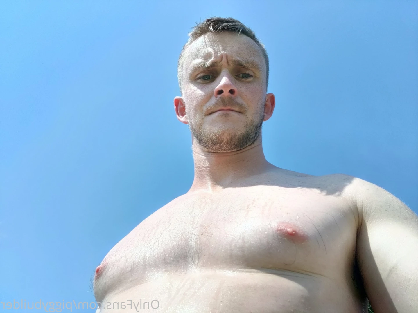 piggybuilder Onlyfans leaked photo 14043390 on Hotleaks.tv