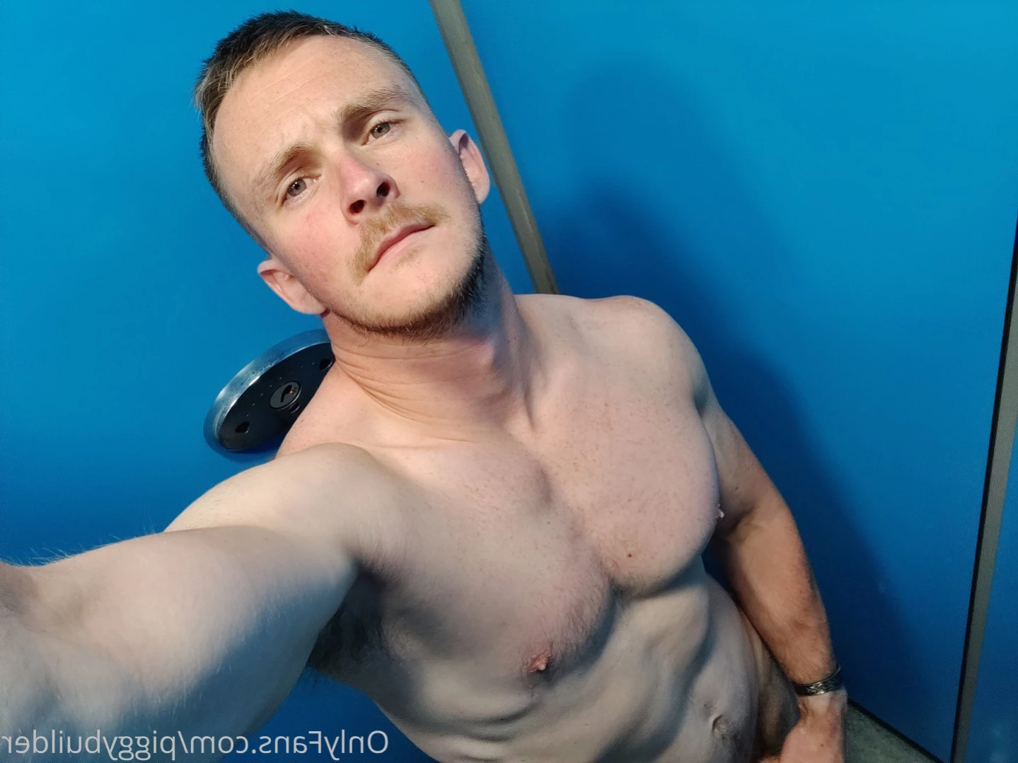 piggybuilder Onlyfans leaked photo 14043410 on Hotleaks.tv