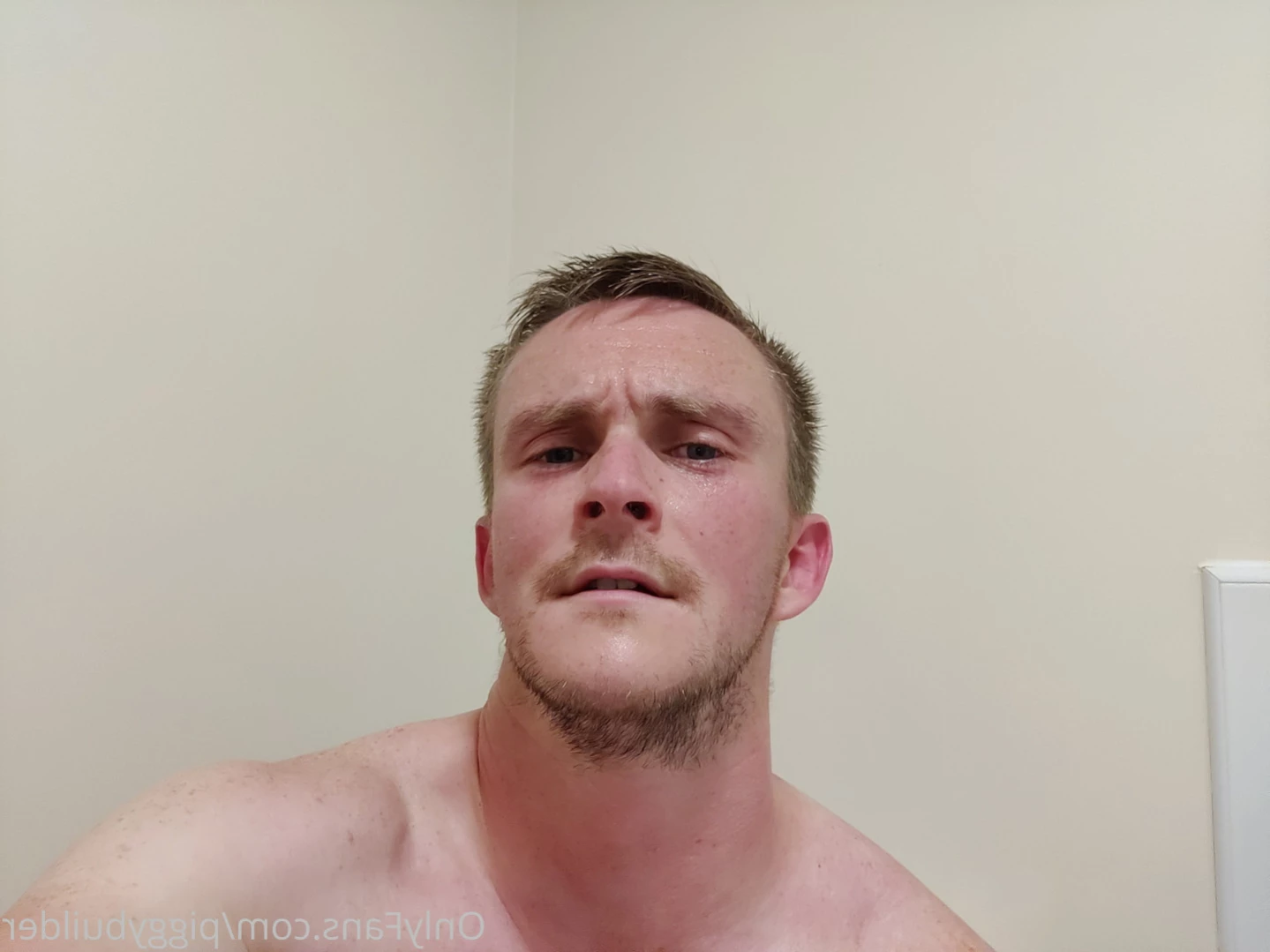 piggybuilder Onlyfans leaked photo 14043734 on Hotleaks.tv