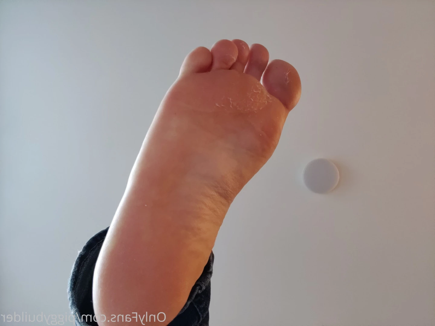 piggybuilder Onlyfans leaked photo 14455711 on Hotleaks.tv