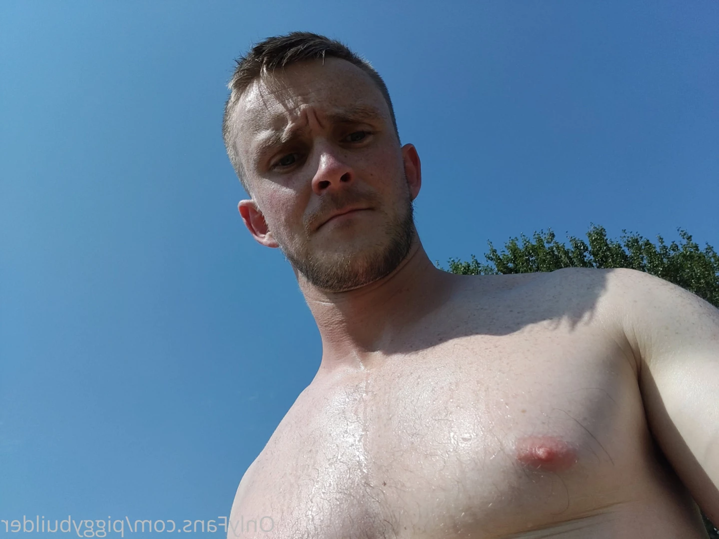 piggybuilder Onlyfans leaked photo 15845457 on Hotleaks.tv