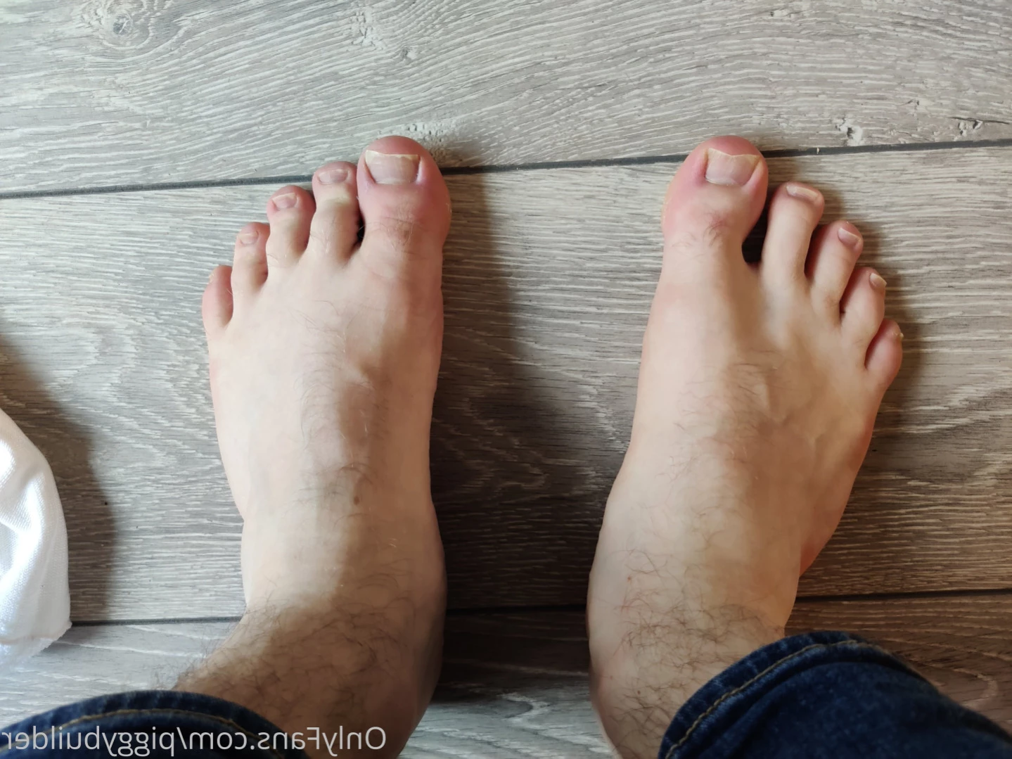 piggybuilder Onlyfans leaked photo 15901270 on Hotleaks.tv