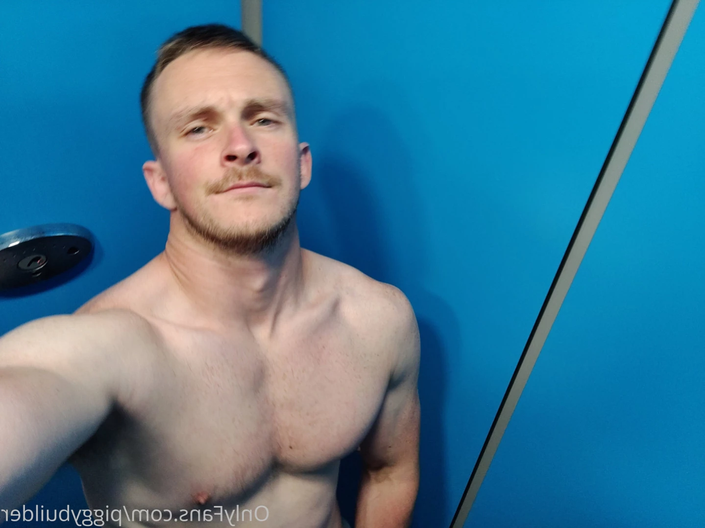piggybuilder Onlyfans leaked photo 16052372 on Hotleaks.tv