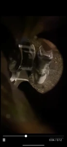 16120673
